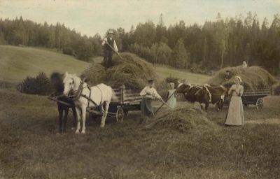 Klicka på bilden för att se den i fullstorlek