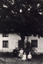 D0520.jpg