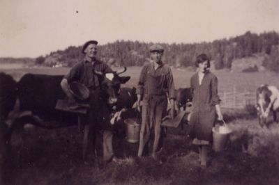 Klicka på bilden för att se den i fullstorlek