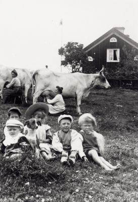 Klicka på bilden för att se den i fullstorlek